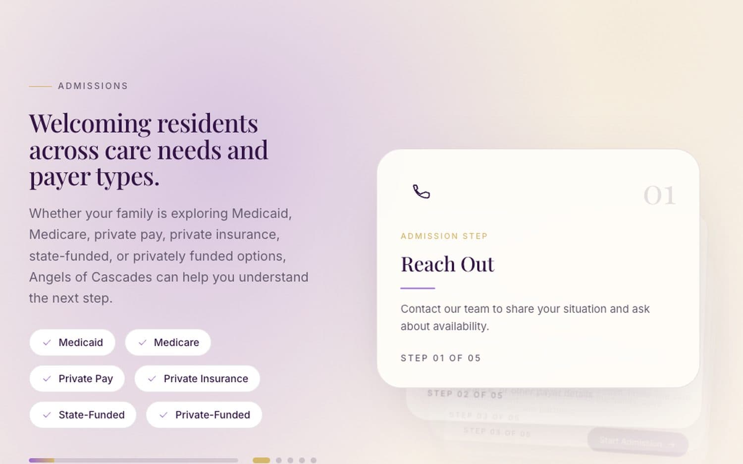 Angels of Cascades — Admissions · payer types
